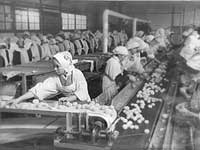 昭和30年代の工場作業風景